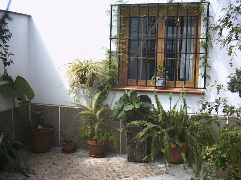 Casa Rural La Brena Talaván Exteriör bild