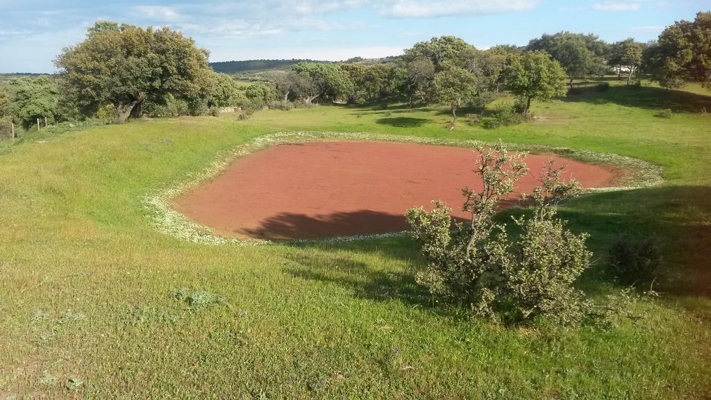 Casa Rural La Brena Talaván Exteriör bild